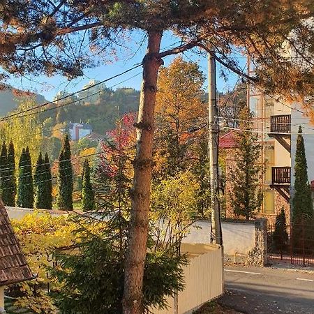 Central Luxury Apartment With City View Μπρασόβ Εξωτερικό φωτογραφία