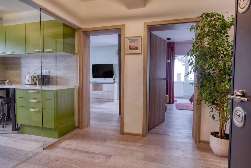 Central Luxury Apartment With City View Μπρασόβ Εξωτερικό φωτογραφία