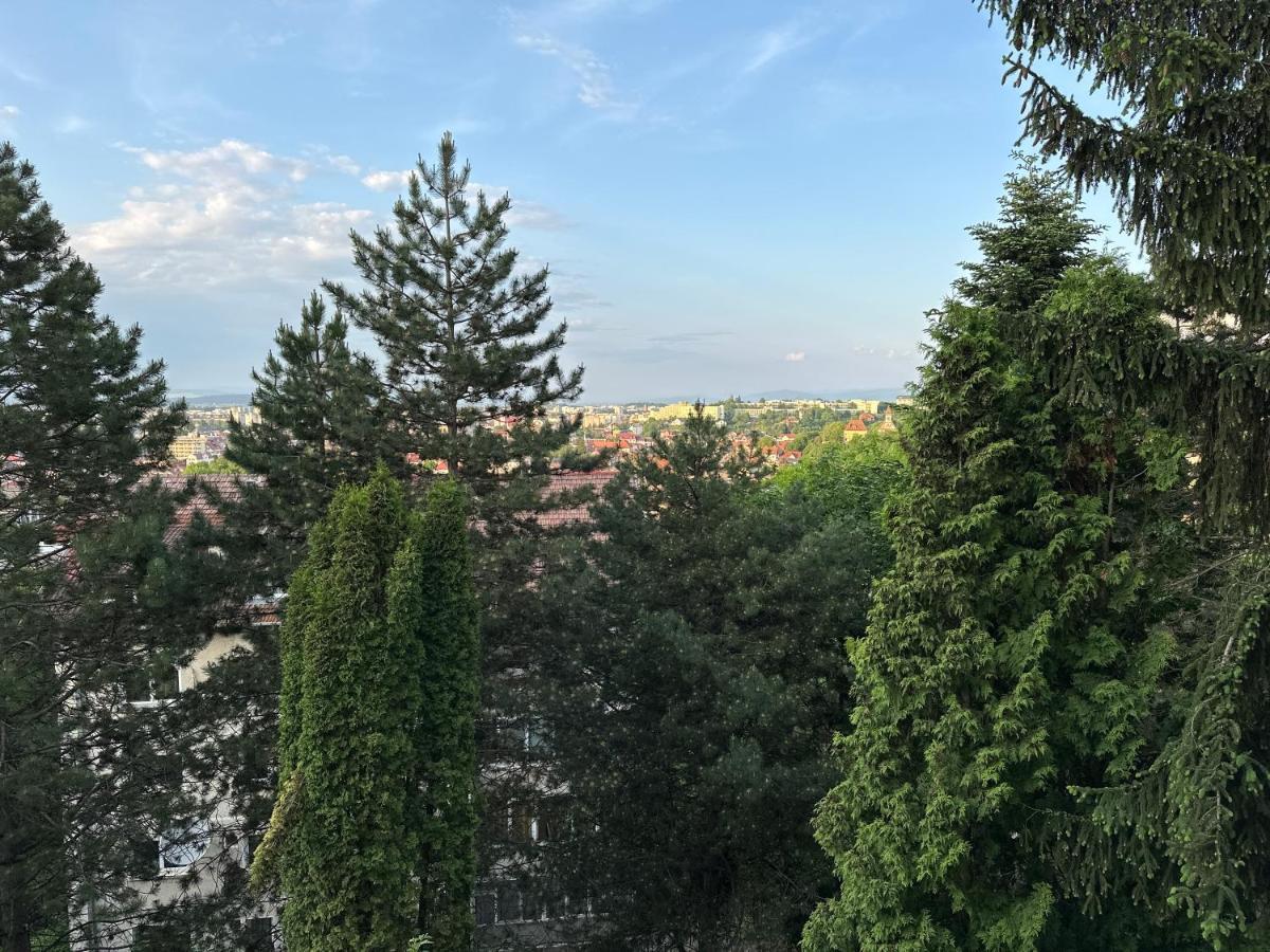 Central Luxury Apartment With City View Μπρασόβ Εξωτερικό φωτογραφία