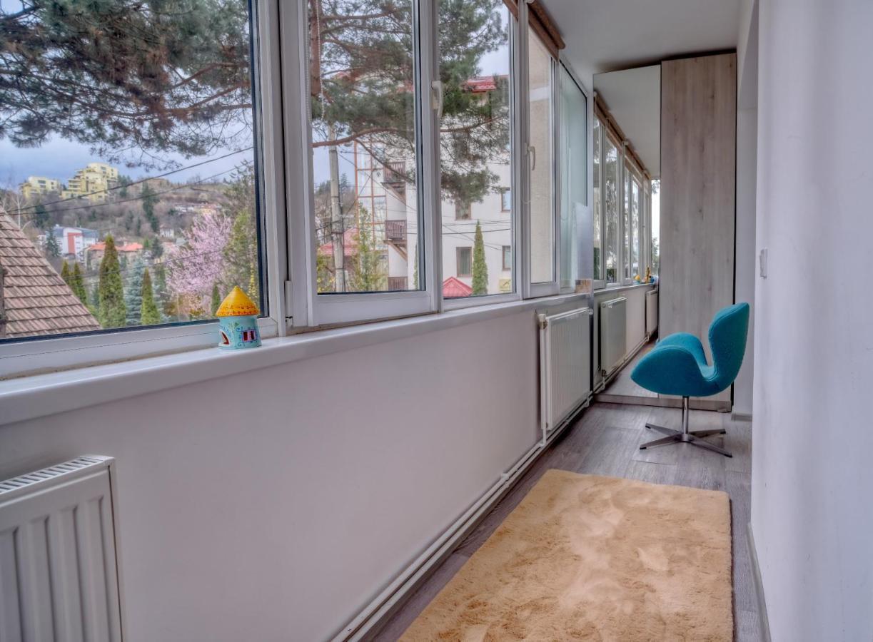 Central Luxury Apartment With City View Μπρασόβ Εξωτερικό φωτογραφία